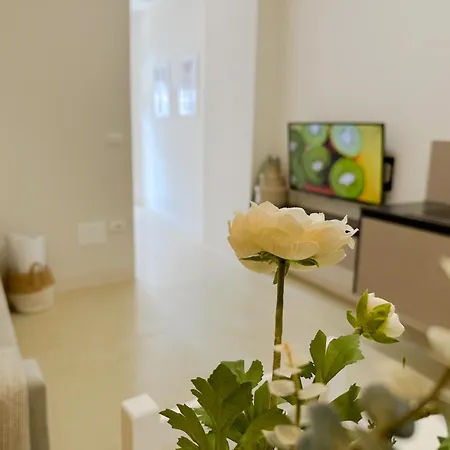 Premium Riviera Apartment- Ac,parking,wifi,comfort גולם